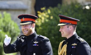 Princes William and Harry grew up together, supported each other after their mother
