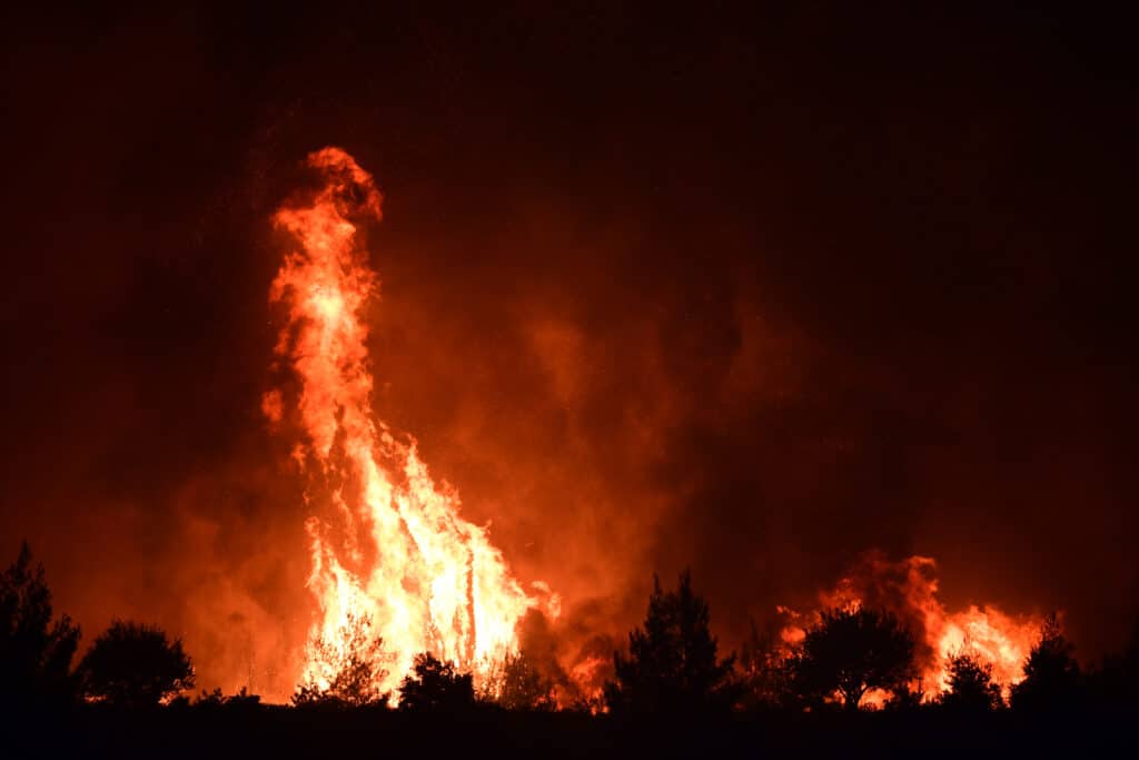 Flames burn a forest near Galatsona village on Evia island,