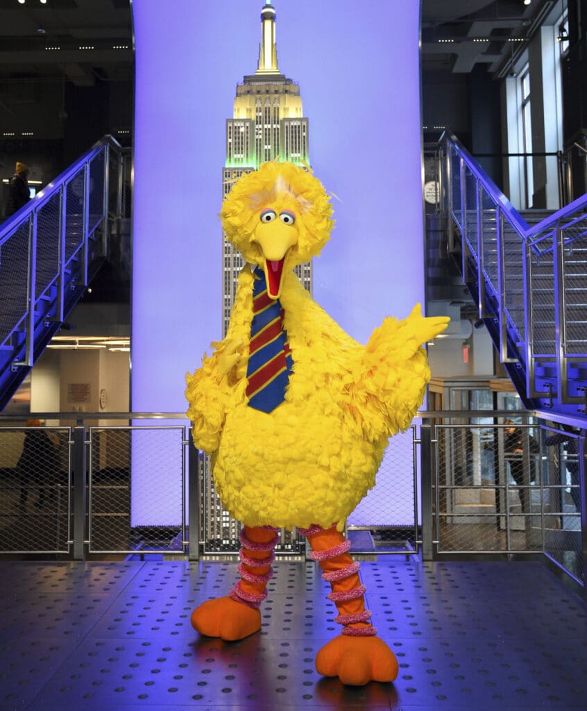 big bird