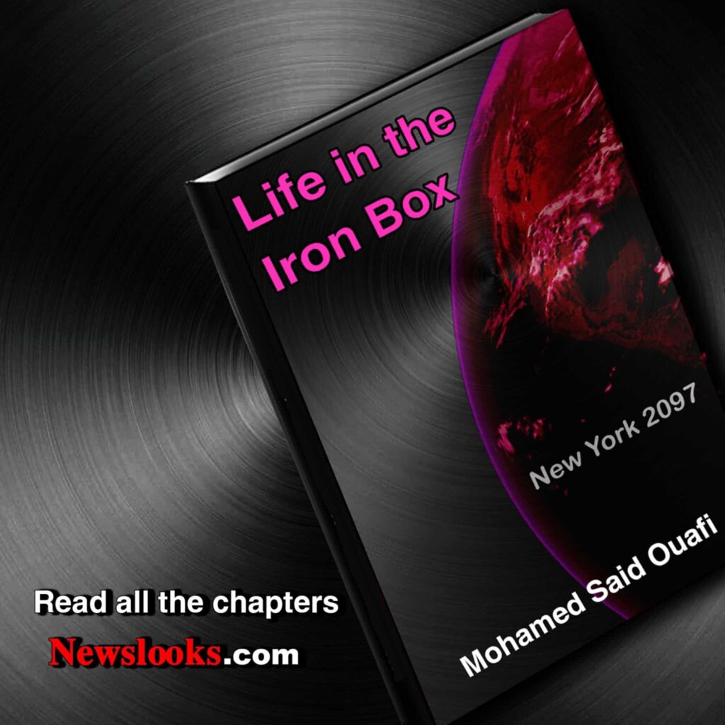 Life in the Iron Box