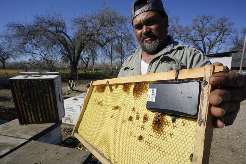 Beekeepers