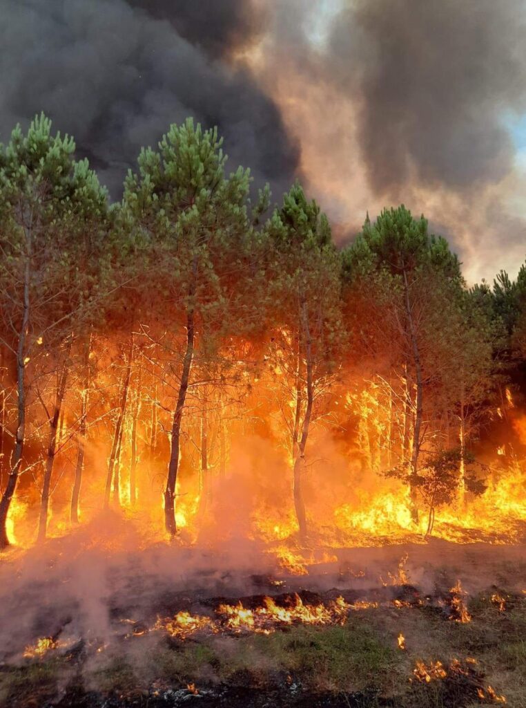 Wildfire in southwestern France: 8,000 people evacuated