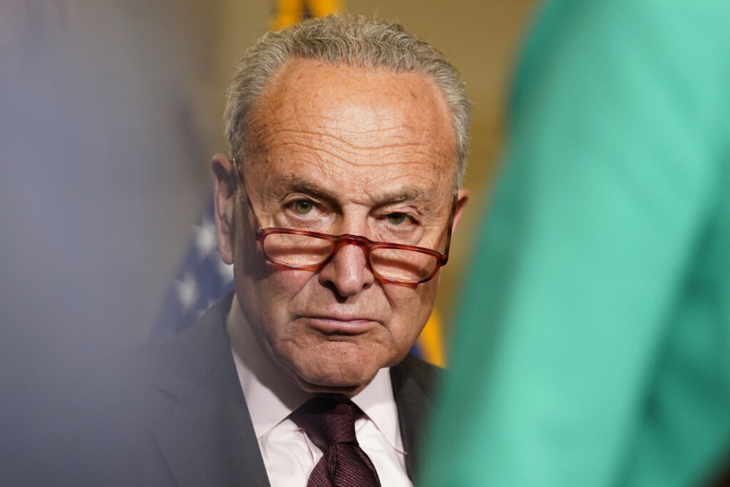 Schumer: Same-Sex Marriage Voting in coming weeks