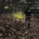 Police Intensify Hunt for UnitedHealthcare CEO’s Killer