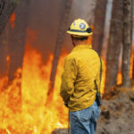 Wildfires Rage in Carolinas Fueled by Dry Conditions