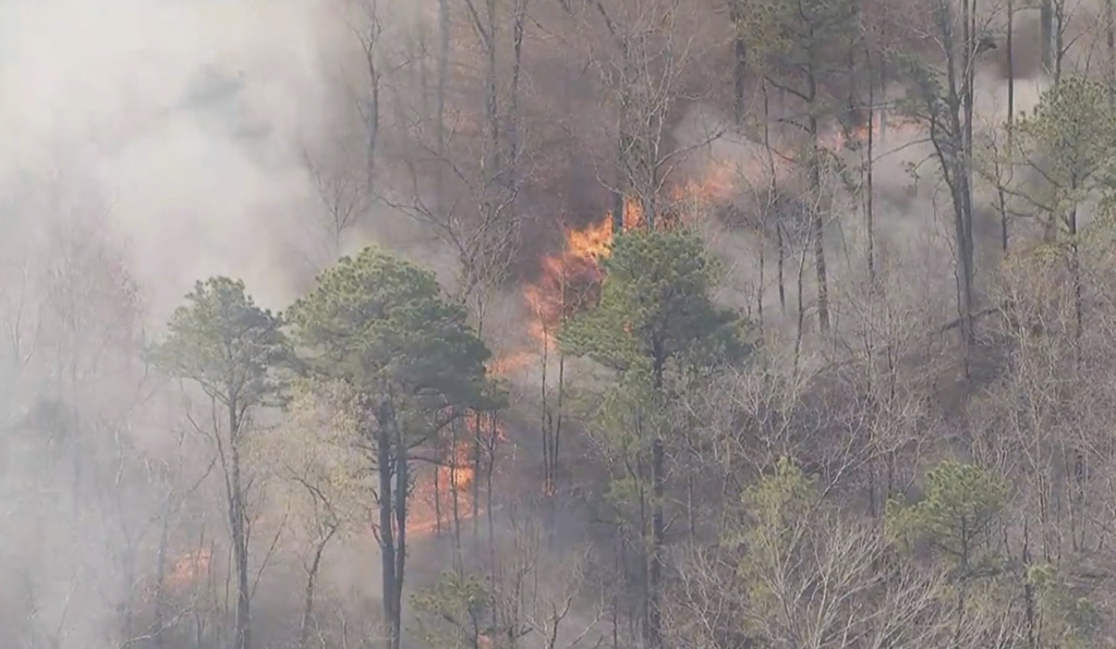 Bonfire Ignites Massive Pine Barrens Wildfire in NJ