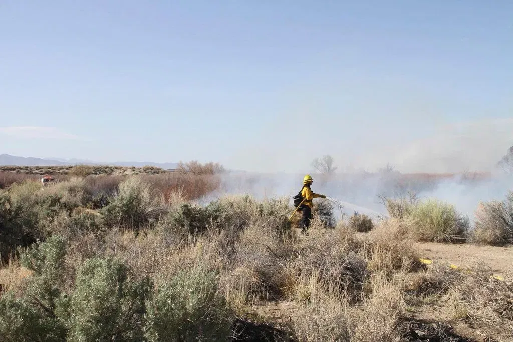 Newsom Signs $170M Wildfire Prevention Funding and Order