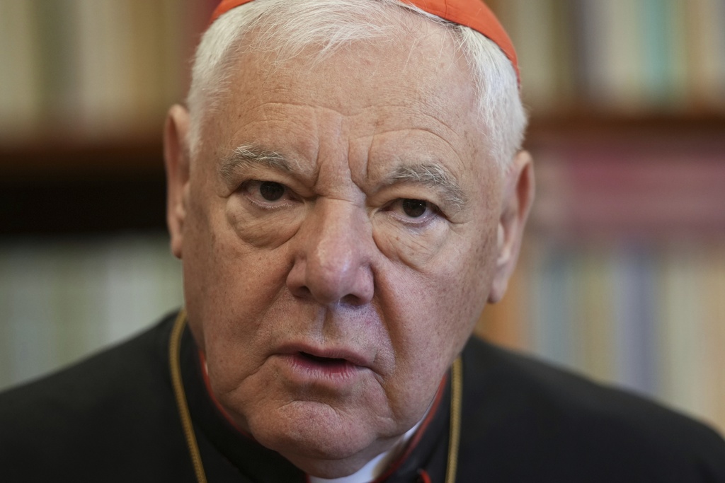 Pope Leo XIV Offers Unity After Francis Era