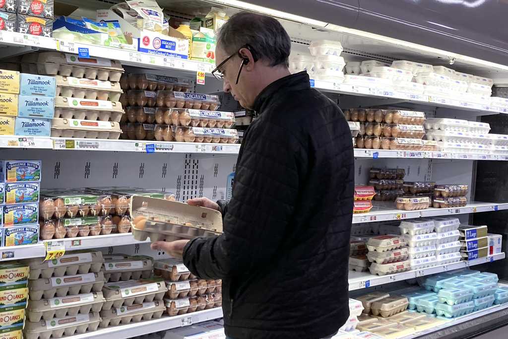 Egg Prices Drop Sharply After Record March Highs