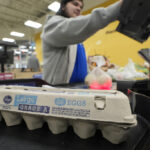 Egg Prices Drop Sharply After Record March Highs