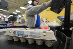 Egg Prices Drop Sharply After Record March Highs
