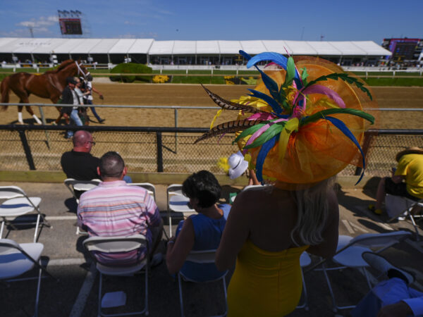 Journalism Favored to Win 2024 Preakness Stakes