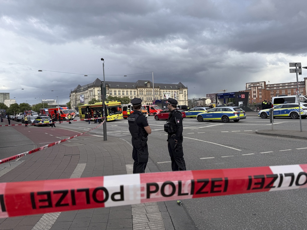 Knife Attack at Hamburg Station Injures Multiple Passengers