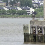NYC Sewage Boat Explosion Kills Veteran Worker