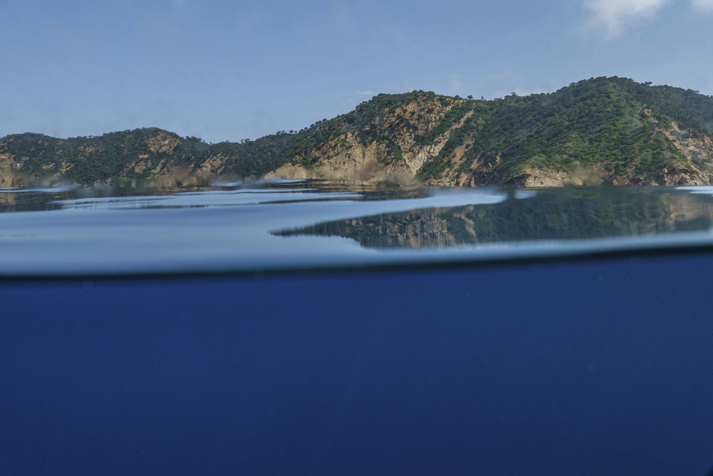 Global Ocean Treaty Gains Ground at UN Summit