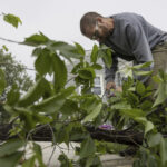 Upper Midwest Tornado, Heat Wave Impact Millions