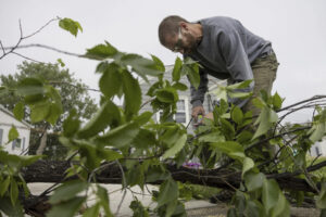 Upper Midwest Tornado, Heat Wave Impact Millions