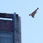 Russia Launches Largest Aerial Assault on Ukraine