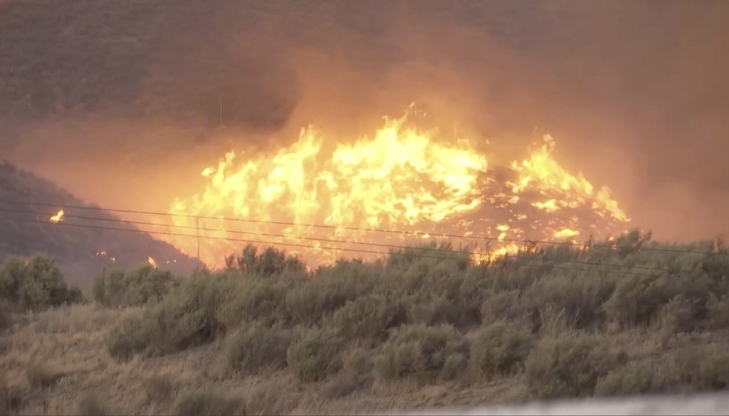 California’s Madre Fire Becomes Largest Blaze of 2025