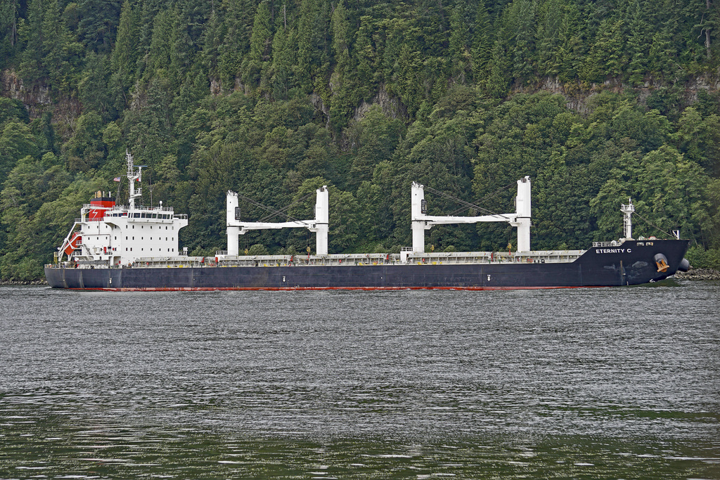 Houthi Rebels Sink Cargo Ship in Red Sea