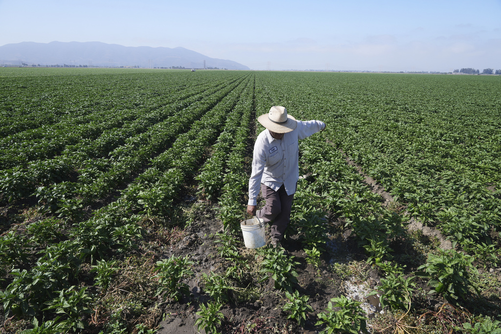 Farmworker Dies After ICE Raid in California
