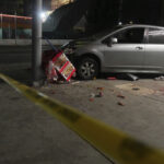 Vehicle Hits Crowd in LA, Driver Shot
