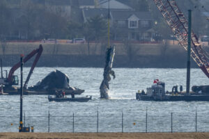 Black Hawk Altimeter Fault Linked to Deadly Crash