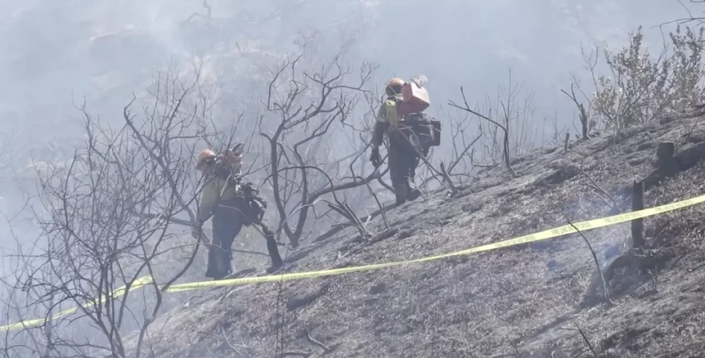 Rancho Fire Spurs Evacuations in Laguna Beach Hillside